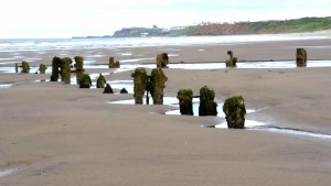 Distant Whitby